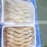 HOSO Penaeus Indicus thumbnail-1