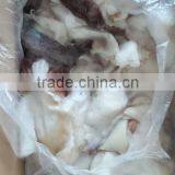 Frozen Giant Squid Neck thumbnail-3