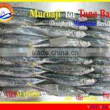 FROZEN W/R MUROAJI FOR TUNA BAIT thumbnail-2