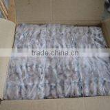 Frozen Bulk Squid (puntilla Calamar) thumbnail-1