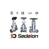 Cast Steel Gate Valve thumbnail-1