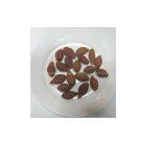 Scaphium Seed Extract