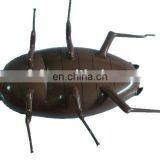 Halloween Cockroach Decoration thumbnail-1