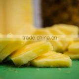 Fresh Pineapple with high Quality