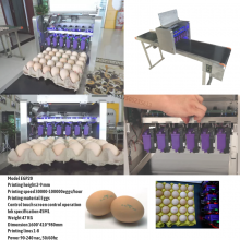 Automatic Egg Printer Machine Egg Coding Machine Egg Printing Machine thumbnail-5