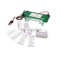 BN-SPCT Electrophoresis Horizontal Electrophoresis