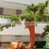 Home Stone Decoration thumbnail-1