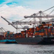 International Shipping including Sea Freight, FCL/LCL Shipment, DDP, Air delivery and Express Delivery Service