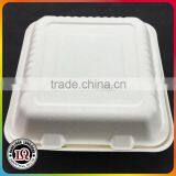 Bagasse Cheap Food Container