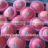 2014 New Crop Chinese Fresh Fuji Apple thumbnail-1