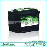 Hot sell Shenzhen EverExceed high quality long life 100 amp hour battery