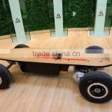 700W~1000W Adult Electric Skateboard/Kick Scooter Removable Battery 36V 8Ah