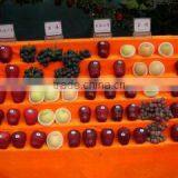 Tianshui Kairui Trade Co., Ltd. company overview - view 3 thumbnail