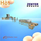 China high performance stainless egg machine