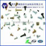 Dongguan China Screw Manufacturer Manufacturing Screws All Models thumbnail-1