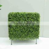 Types of ornamental plants boxwood hedge, decorative garden fencing for christmas decoration