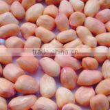 Chinese Peanut Kernels Baisha for Sale