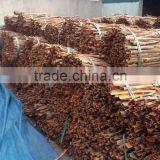 High Quality Cassia (website: Vietkhoico.ltd) thumbnail-2