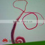 50pcs Human and Animal Parasitology Slides Set thumbnail-1