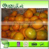 2016 New Crop Fresh Mandarin Orange Price thumbnail-1