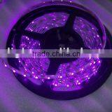 High Quality UV LED Ribbon