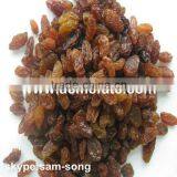 Good Quality of 90% Brown Raisin on Sale