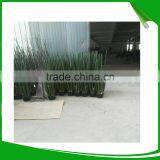 Indoor Decoration Evergreen Aritificial PU Snake Plant With Plastic Pot thumbnail-1