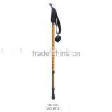 Nordic Walking Stick,Trekking Pole,Hiking Pole thumbnail-1