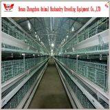 Direct Manufacturer Automatic Broiler Cage Broiler Poultry Farm House Design thumbnail-2