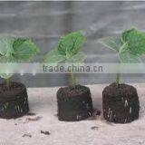 Nutritive Seeding Block Press Machine With Hihg Efficiency thumbnail-5