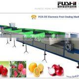 Electronic Fruit Sorting Machine(FGX-130) thumbnail-1