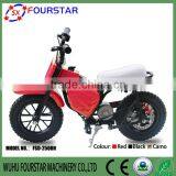 Best Quality Electric Bike for Sale thumbnail-4