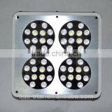 Hiah Quality Apollo Led Grow Lights Hydroponic thumbnail-3