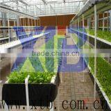 Fully Opened Roof PC Sheet Greenhouse thumbnail-1