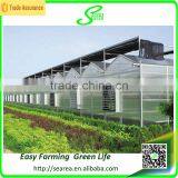 Commercial Farming Polycarbonatge Greenhouse Shade Green House Design thumbnail-3