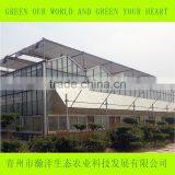 Multi Span Glass Greenhouse for Agriculture Planting thumbnail-4