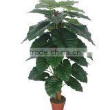 CHY030933 Indoor Artificial Bonsai Plant /plastic Fake Plant/ Artificial Alocasia Plant thumbnail-4