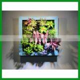 FO-WR33 Wooden Frame Artificial Wall Art thumbnail-1