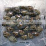 DELICIOUS FROZEN VACCUM BOILED SHORT NECKED CLAM thumbnail-1