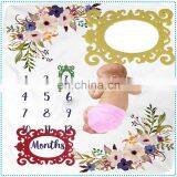 High Quality Newborn Milestone Photo Felt Frame for Blanket thumbnail-2