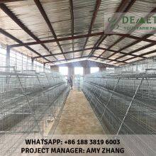 A Type Layer Chicken Cage for Sale in Nigeria thumbnail-2