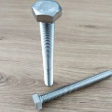 Stainless Steel 18 - 8 Full Coarse Thread Hex Head Tap Bolt With Six Sided Head