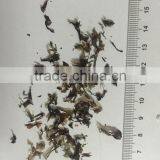 100% Natural Food Grade Porphyra Flakes, Laver Nori Seaweed thumbnail-1