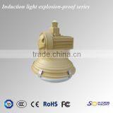 IP65 60-150W Explosion Proof Lamp, MH, HPS Lamp, Anti-explosion Proof Platform Light