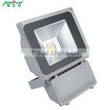 Waterproof IP65 High Lumen Bridgelux Outdoor 100w Led Floodlight