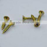 Customized Latest Small Car Screw