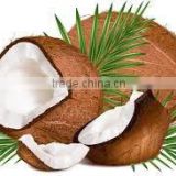 wholesale virgin coconut oil