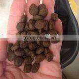 Pet Food Processing Line Machinery thumbnail-2