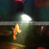 12/24V Super Waterproof Auxiliary Light LED Work Lamp