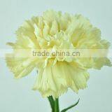 Latex Flower Real Touch Carnation Decorative Carnation for Mother's Day thumbnail-1